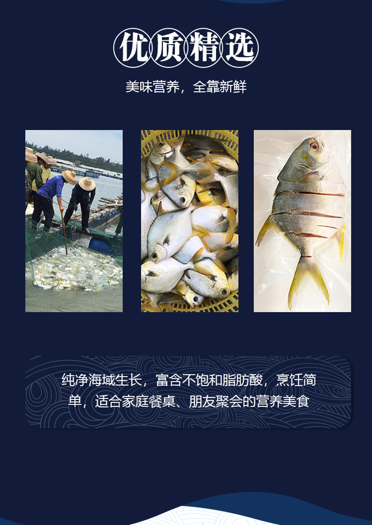 金鯧魚3.jpg